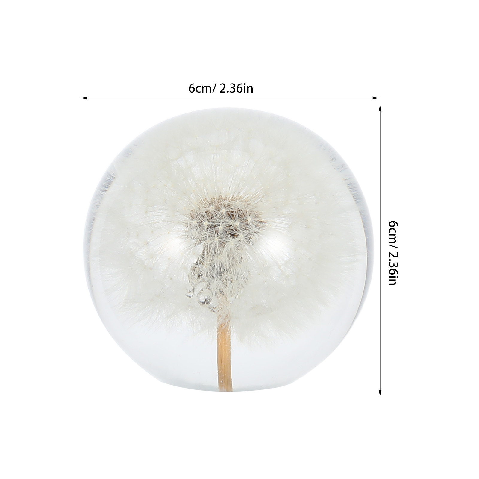 Dandelion Crystal Ball Glass S - Paper Weight Crystal incelemesi ve fiyatı