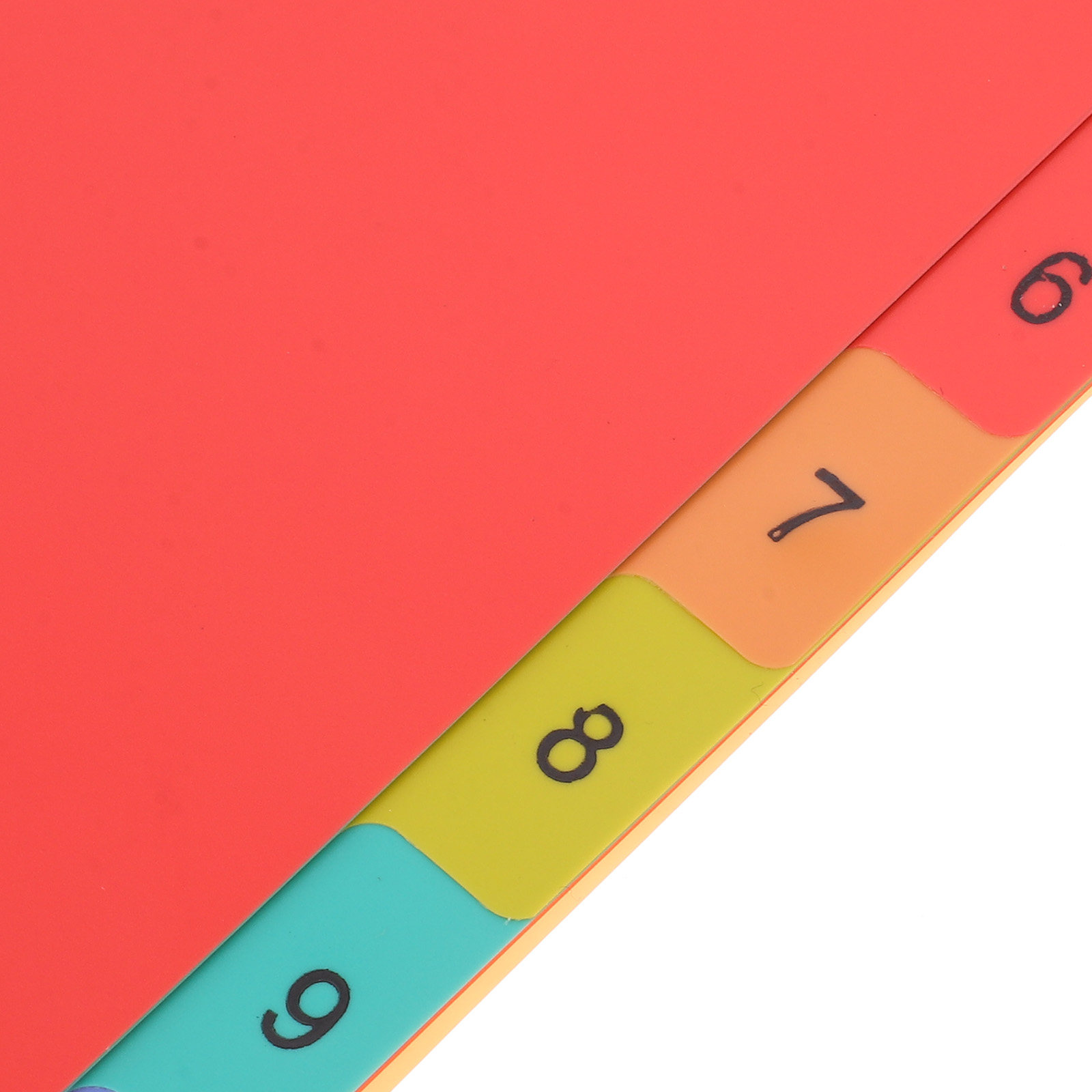Plastic Binder Dividers A4 Loo - Tab Divider A4 incelemesi ve fiyatı